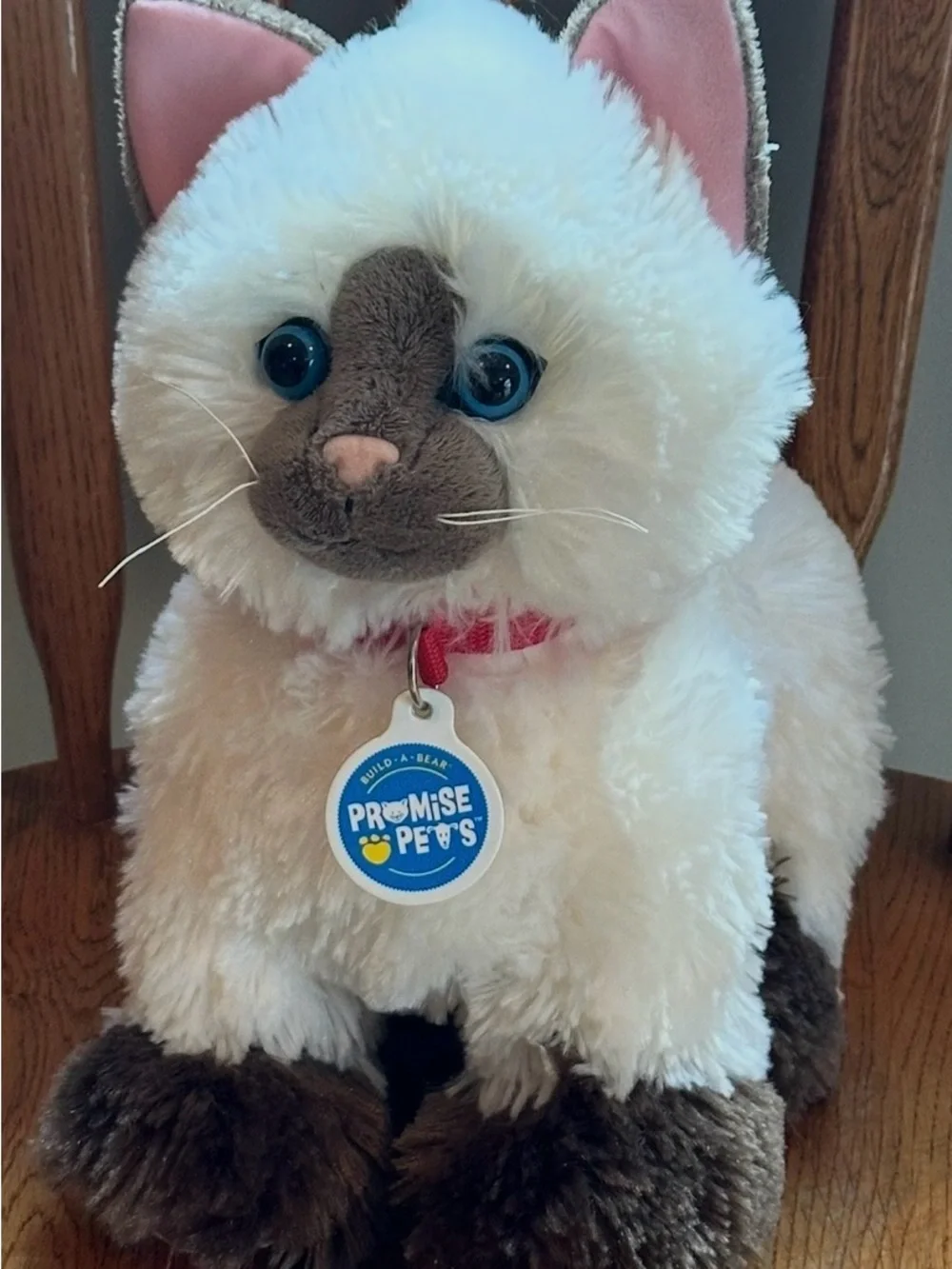 Build a Bear Ragdoll Siamese Himalayan Plush Stuffed Animal Promise Pets Collar